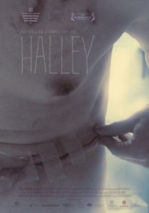 Галлея (2012)