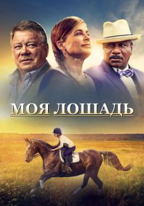 Моя лошадь (2016)
