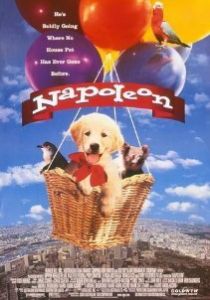 Наполеон (1995)