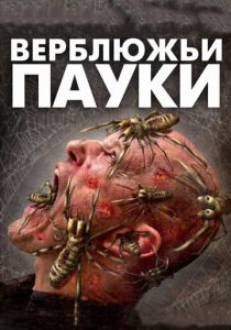 Верблюжьи пауки (2011)
