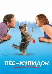 Пес-купидон (Фильм 2012)
