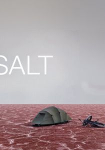 Соль (Фильм 2009)